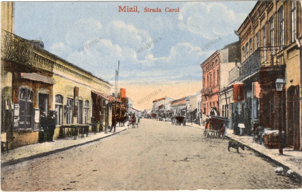 Mizil – Strada Carol, carte poștală ilustrată color